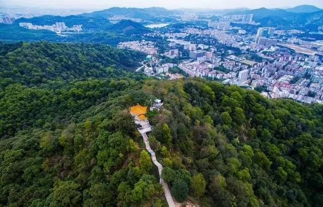 صورة موثقة للمكان — جبل باييون